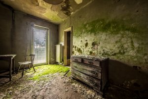 DSC05448-HDR