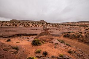 DSC07808