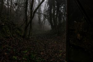 DSC00607