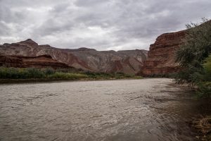 DSC07858