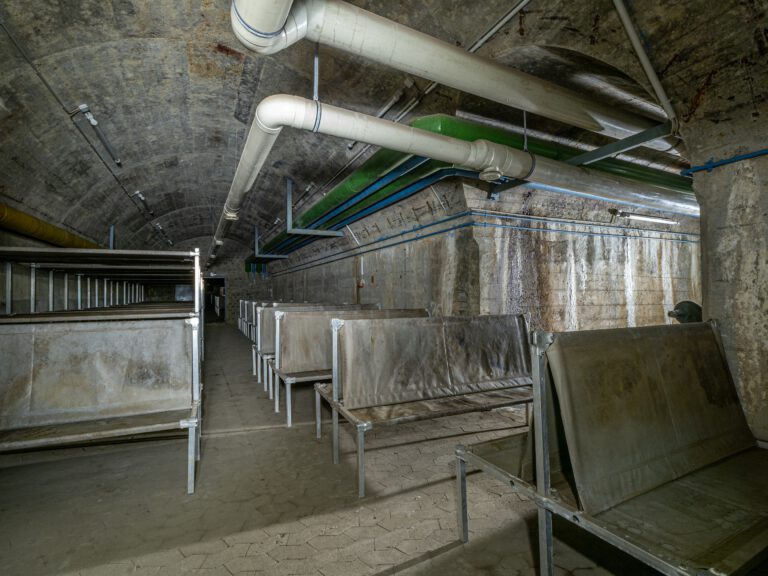 P3122067